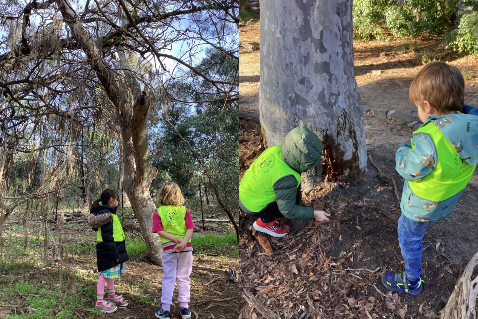 2 children playing in nature